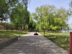 -长白岛森林公园