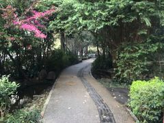 -成都市活水公园