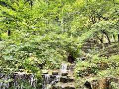 -莫干山风景区