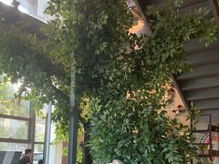 -了不起的考拉咖啡店(高新店)