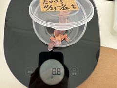 -酷以爬仙阁实体爬宠店·守宫·蜥蜴·专业繁育