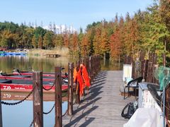 -上海长兴岛郊野公园