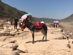 -陕西黄河壶口瀑布旅游区