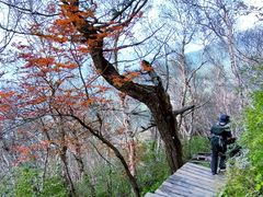 -白草畔自然风景区