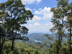 -广州市帽峰山景区
