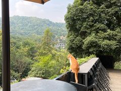 -简象咖啡CAFE ELE JANE(满陇桂雨店)