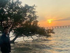 -宝安西湾红树林湿地公园