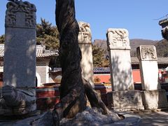-潭柘寺景区