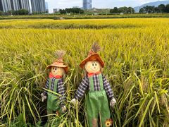 -光明小镇欢乐田园