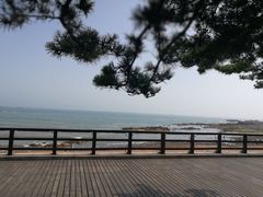 -八大关景区