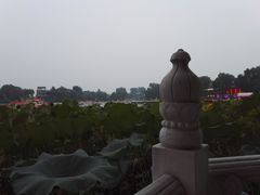 -小王府(什刹海店)