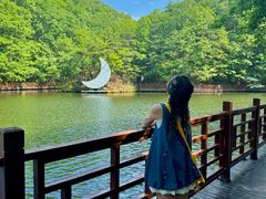 -洛阳白云山景区