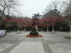 -伯先公园