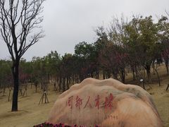 -牛岗山公园