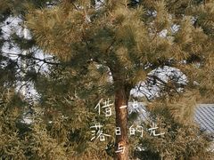 -北京南山滑雪场