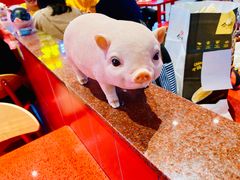 -猪角·闽南猪脚饭(上梅林店)