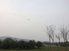 -白马涧龙池景区