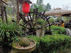 -青城甲(青城山店)