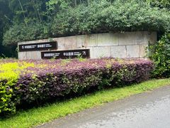 -天目湖涵田度假村