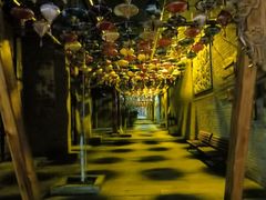 -渭南桃花源民俗文化园