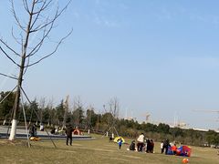 -南京钟山宾馆(江苏省会议中心)