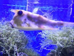 -多彩贵州城极地海洋世界