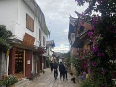 -饵块食光·云南有机手作饵块