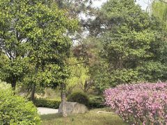 -鹦鹉寺公园