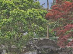 -秋霞圃