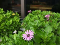 -萤初高端日料王(曲江银泰店)
