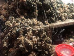 -都斛海鲜街