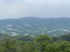 -大屏嶂森林公园