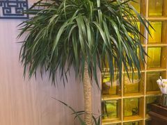 -燕兰楼·清真西北融合菜(亚运村店)