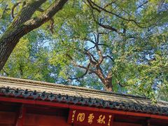 -秋霞圃