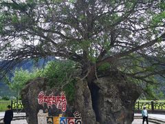 -雅鲁藏布江