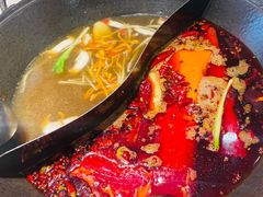 -超级鲜•胡毛肚火锅(扬帆店)
