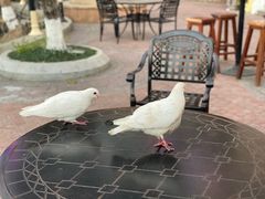 -深圳东部华侨城茵特拉根酒店