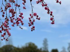 -常德桃花源景区