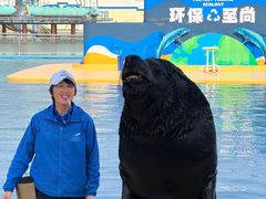 -秦皇岛乐岛海洋王国