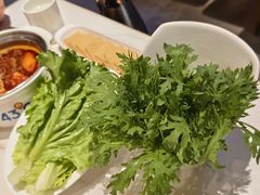 -蒙都43°9羊火锅·赤峰美食(宁城店)