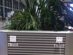 -青岛胶东国际机场