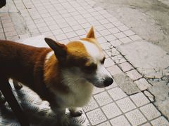 -小梁哥云吞面(黄贝岭店)