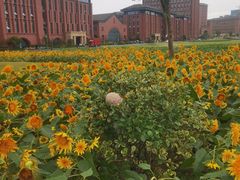 -浙江大学(紫金港校区)