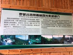 -野象谷景区
