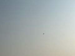 -洨河生态公园