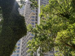 -石排湾郊野公园