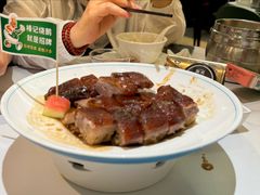 -椿记烧鹅(叠彩店)