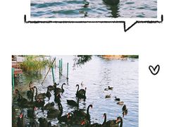 -五缘湾湿地公园