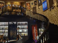 -雪灵魔法世界SHELLY’S TAROT(大良桂畔里店)