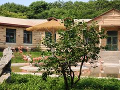 -哈尔滨北方森林动物园